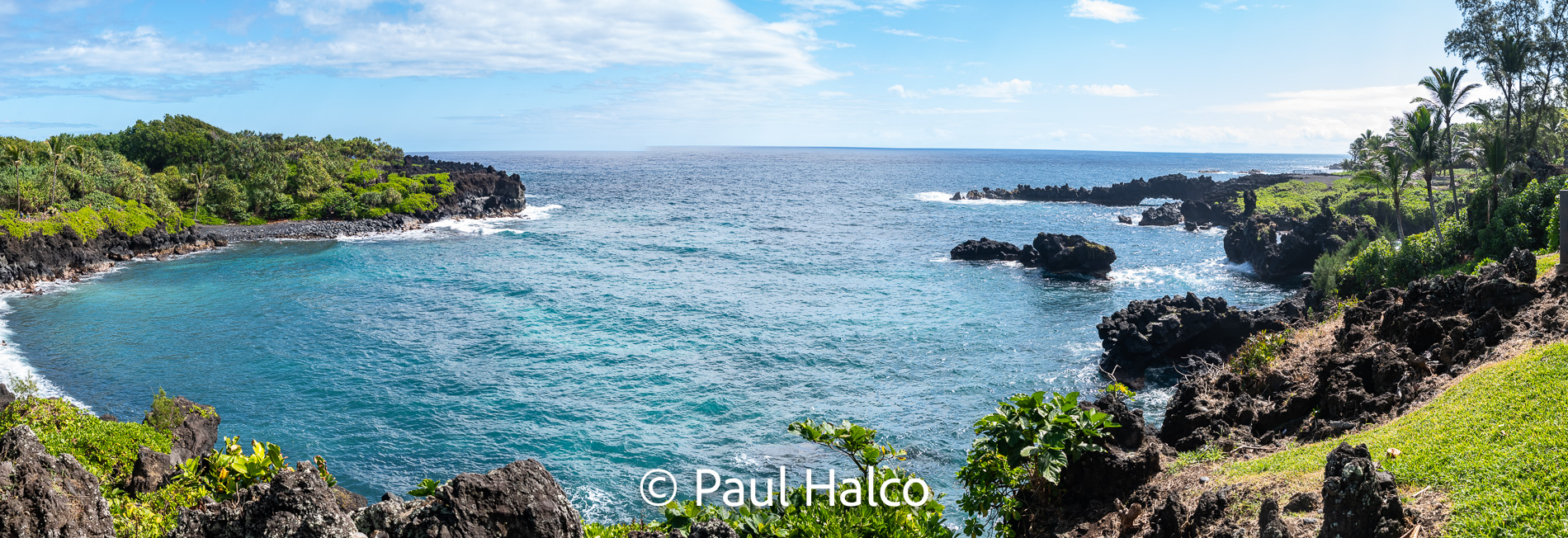 Paul Halco - Hawaii-7